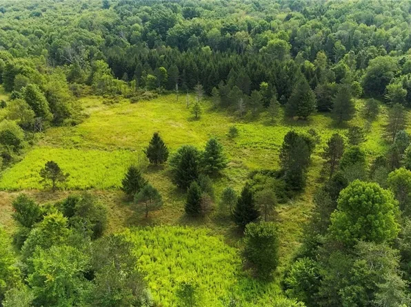 6030 Nys Rte #26, Whitney Pt, NY 13862