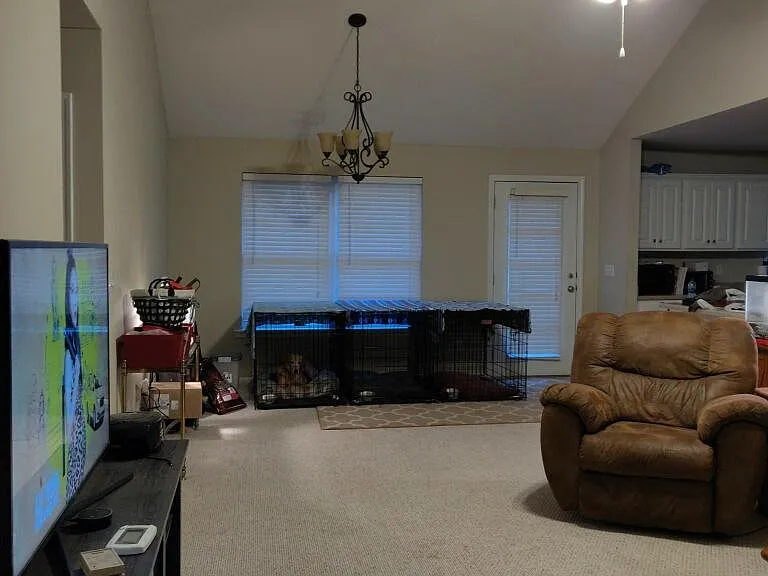 2508 Shady Bank Ln — Photo 7