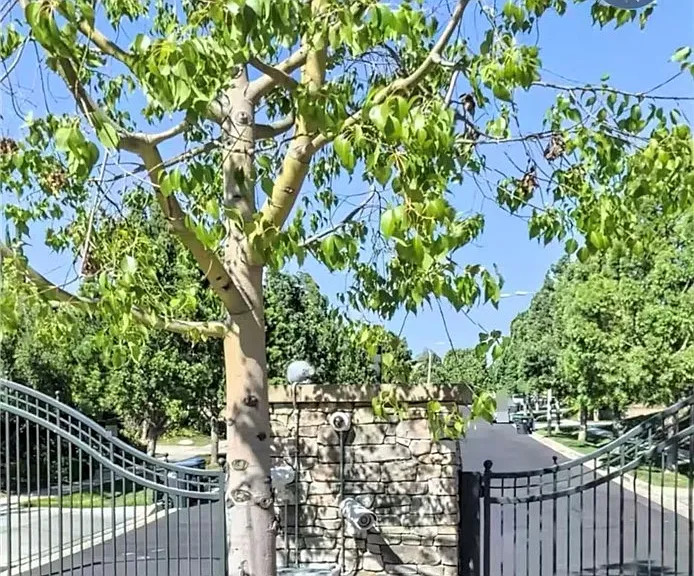 15540 Canon Ln — Photo 36
