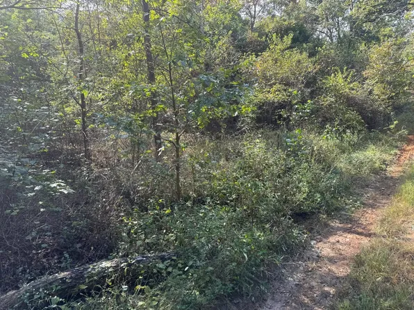 19450 Private Drive 6536, Beulah, MO 65436