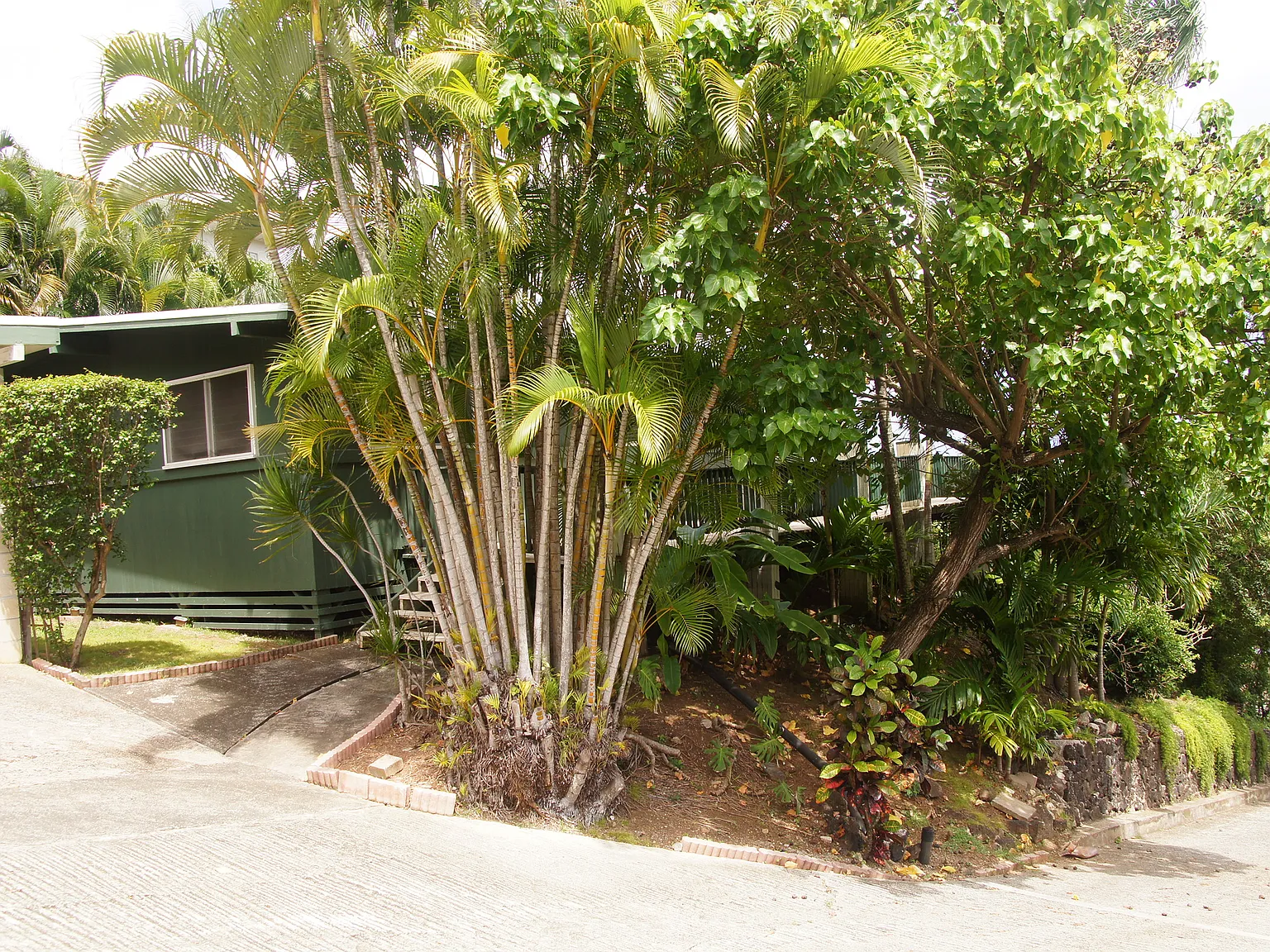 3 bed, 1.5 bath, 1008 sqft, $4,500 — Photo 3