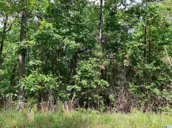 12 County Road 728, Montevallo, AL 35115