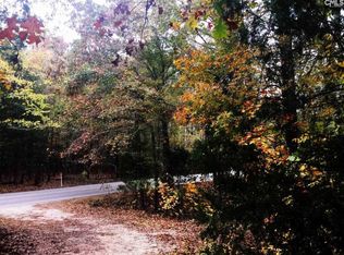 2377 Wessinger Rd, Chapin, SC 29036