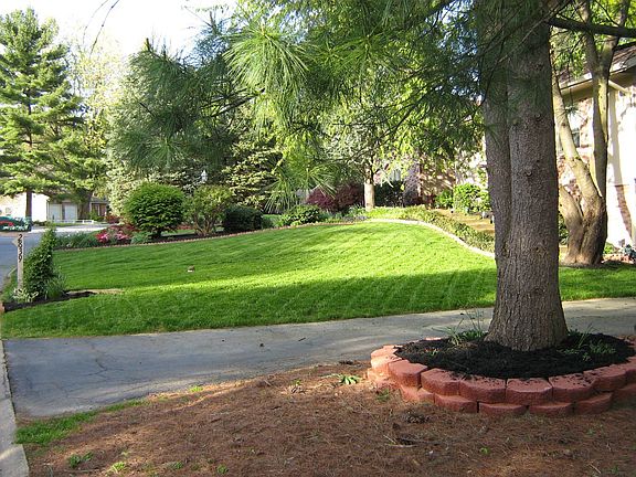 side view front