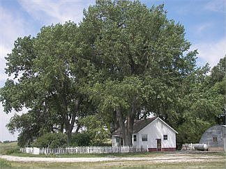 5th image of 14388 Highway 385