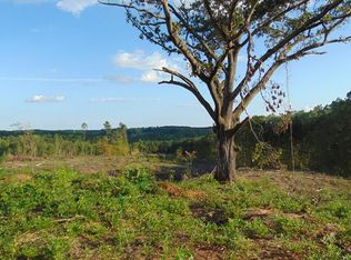 Clinton Rd, Nathalie, VA 24577