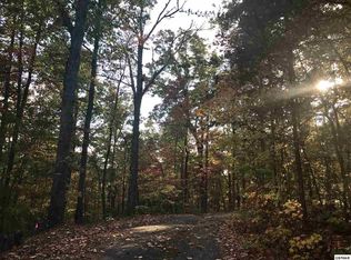 LOT 10 Gimlet Dr LOT 10, Gatlinburg, TN 37738