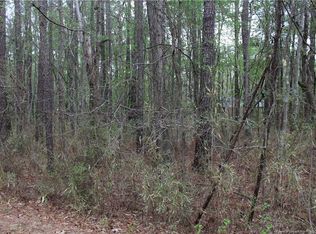 689 Willow Ln, Vass, NC 28394