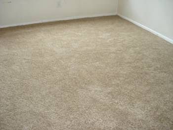 2nd image of 3848 Clearwood Ct