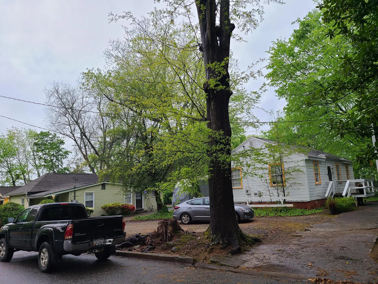 2 bed, 1000 sqft, $1,450 — Photo 1
