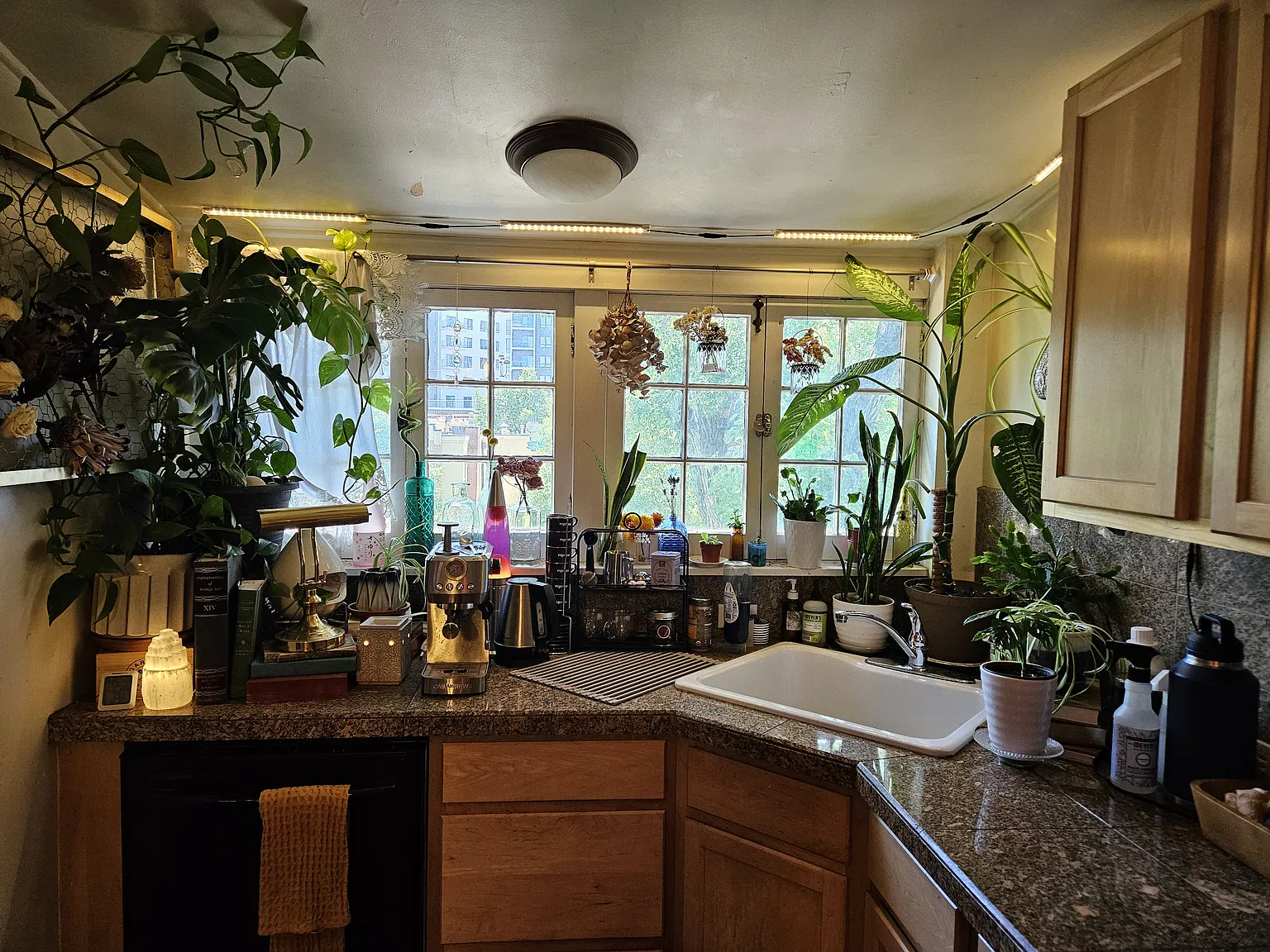 2 bed, 1250 sqft, $1,950 — Photo 4