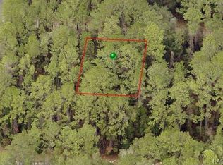 1002 E Vercelli Ln, Citrus Springs, FL 34434