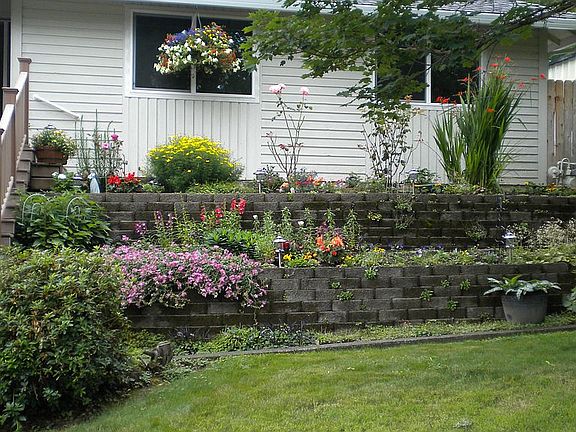 Some of the flowers