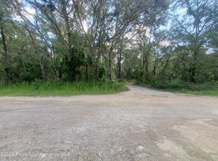 0 Berryhill Dr, Webster, FL 33597