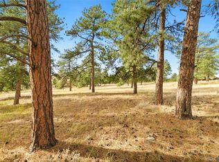 10562 Shadow Pines Rd #13, Parker, CO 80138