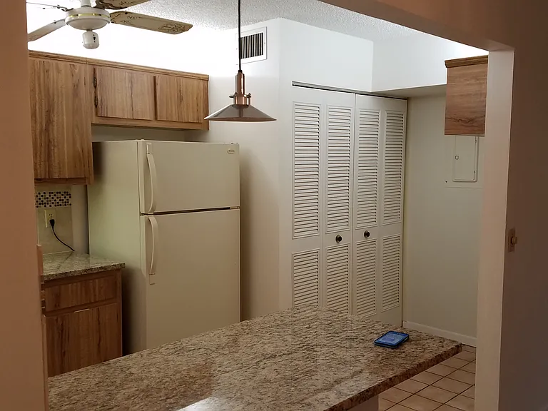 537 Shady Pine Way — Photo 8