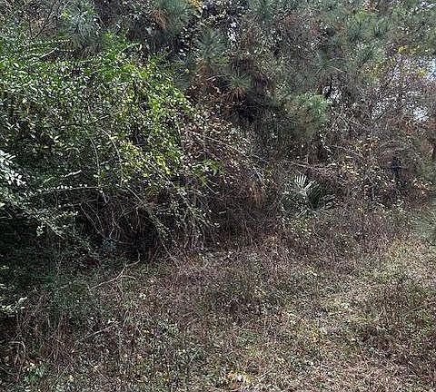 3rd image of 10 Ponderosa Cir