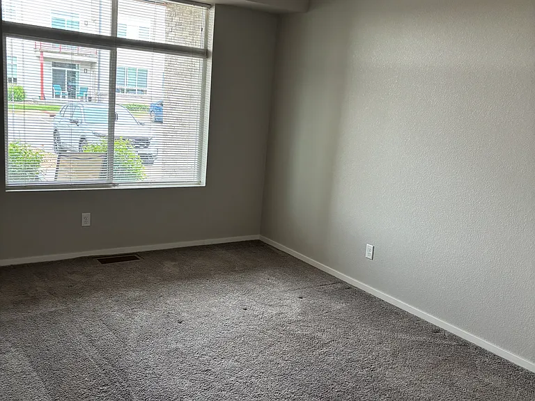 Freshly-painted and like new carpet.