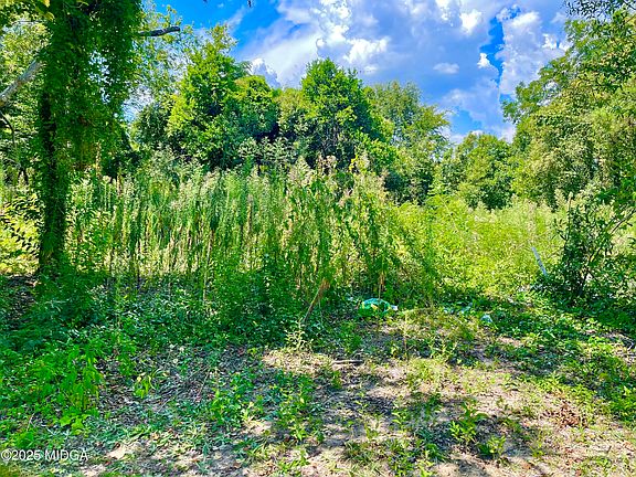 3rd image of 254 Forest Ave