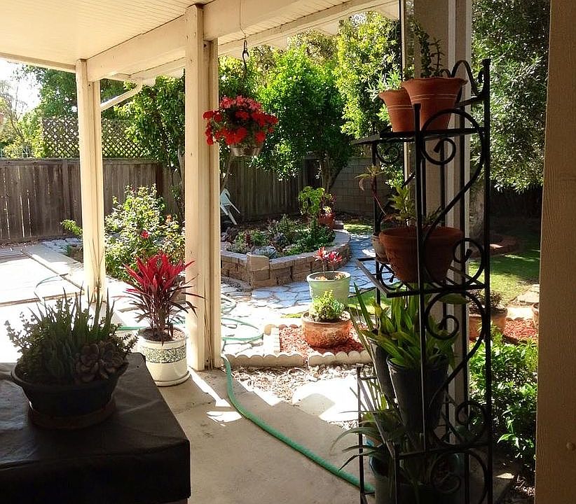 View from kitchen window.