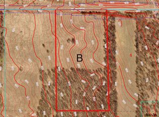 PARCEL 112th St SW #B, Motley, MN 56466