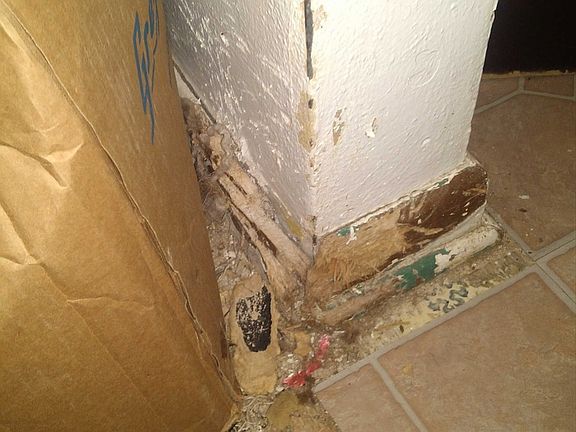 4th image of 964 Haller Ave