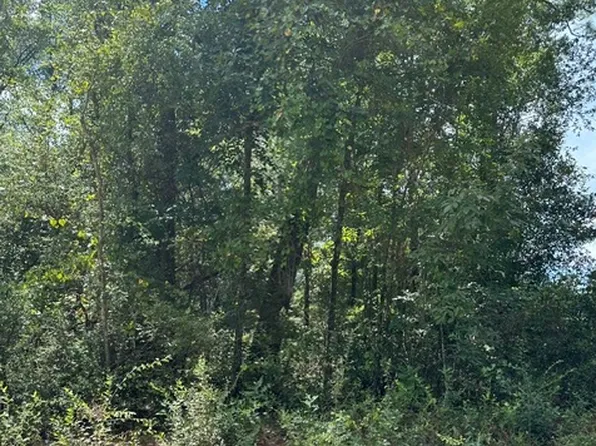 SW 44th Ln, Jasper, FL 32052