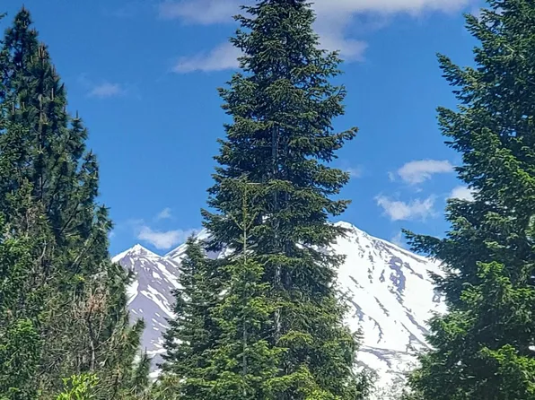 115 Mule Deer Dr, Weed, CA 96094