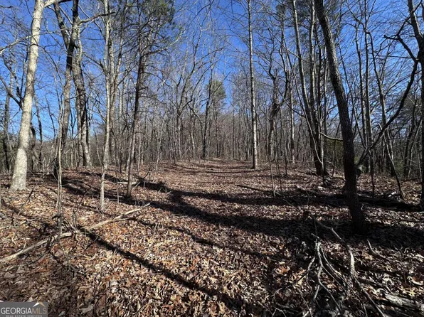 57 Saint Andrews Way, Ellijay, GA 30536