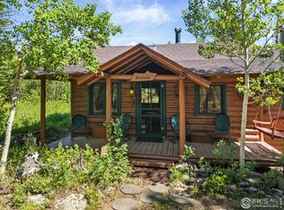 84 County Road 113s, Allenspark, CO 80510