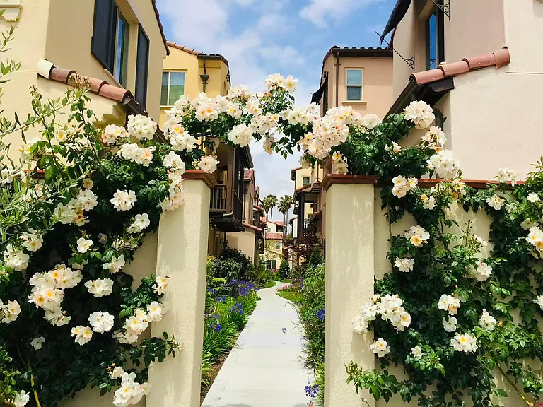 Smith Ln — Photo 1