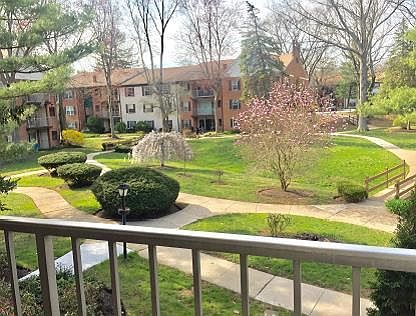 garden view1