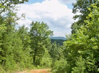 0 Tickanetley Ln, Ellijay, GA 30536