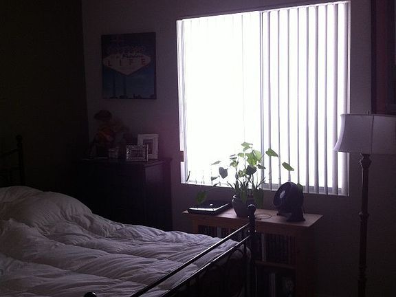 5th image of 3006 Paseo Hills Way
