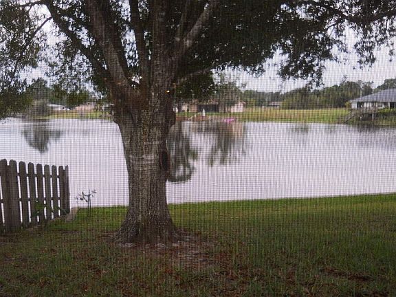 3rd image of 736 Lake Betty Dr