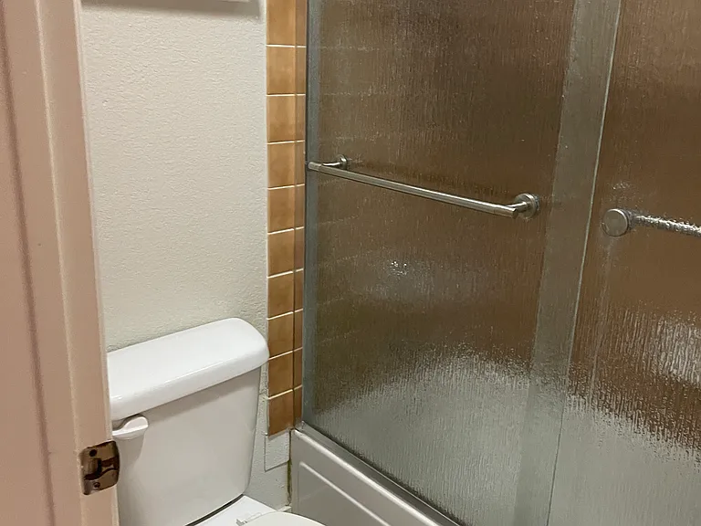 1215 E Lemon St #217 — Photo 19