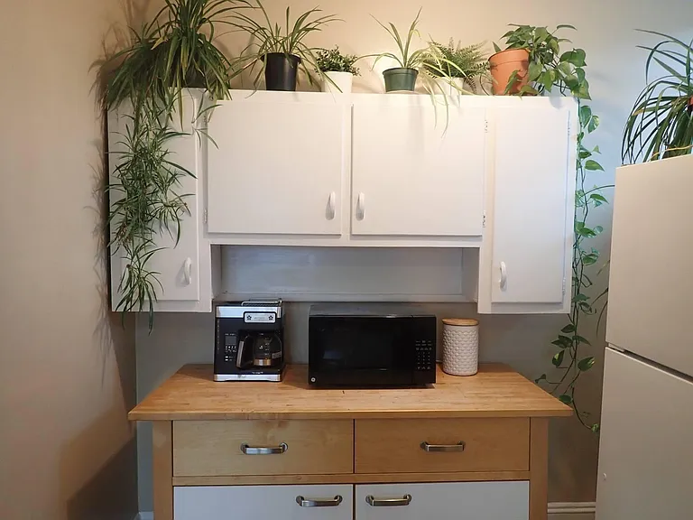 1201 N Elizabeth St #3 — Photo 5
