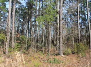 111 Mary Ellie Dr, Summerville, SC 29483