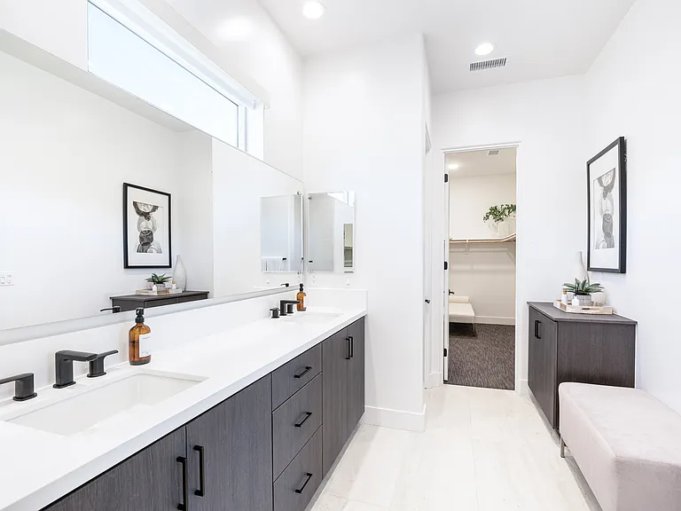 Master Suite Bathroom