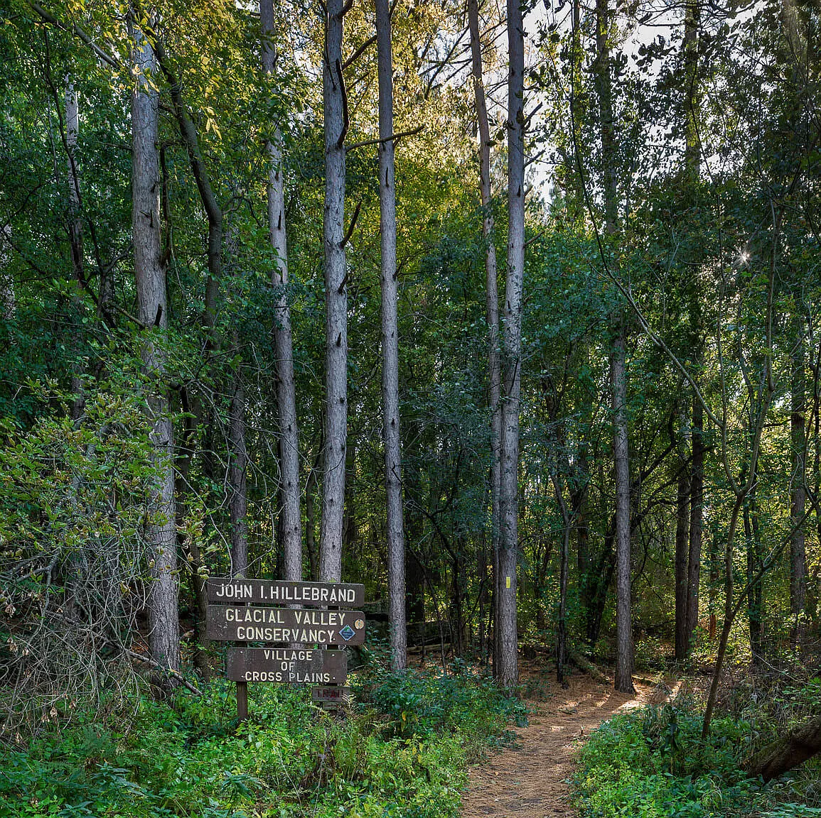 Mill Creek — Photo 1
