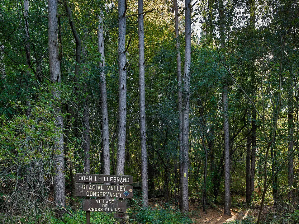 Mill Creek