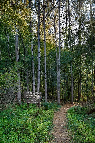 Mill Creek Photo 1
