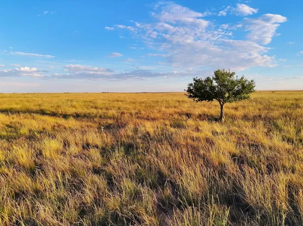 County Road U S, Walsh, CO 81090