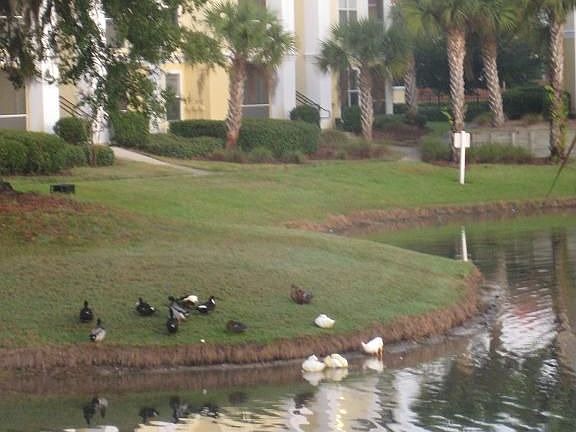 2nd view from the patio