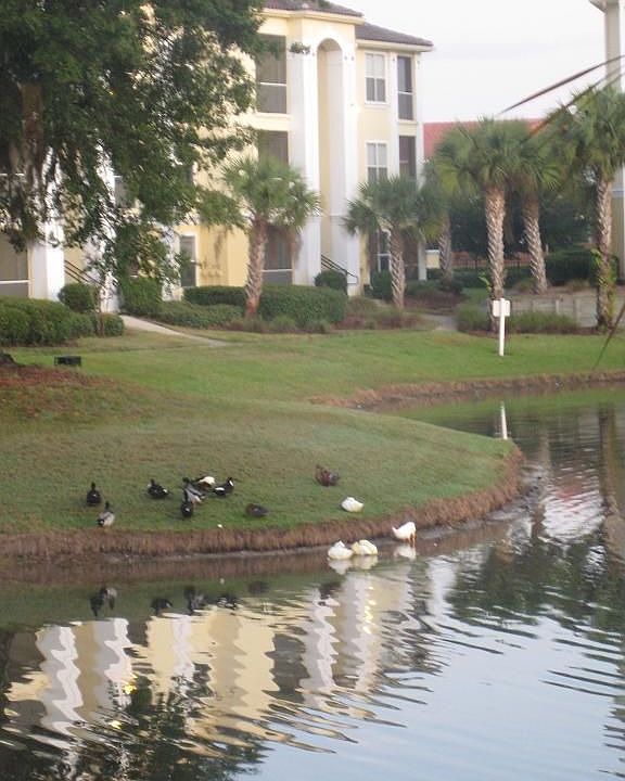 2nd view from the patio