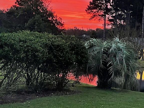 Enjoy this SUNRISE daily!