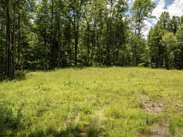 LOT 20 Lake Island Dr, Belington, WV 26250