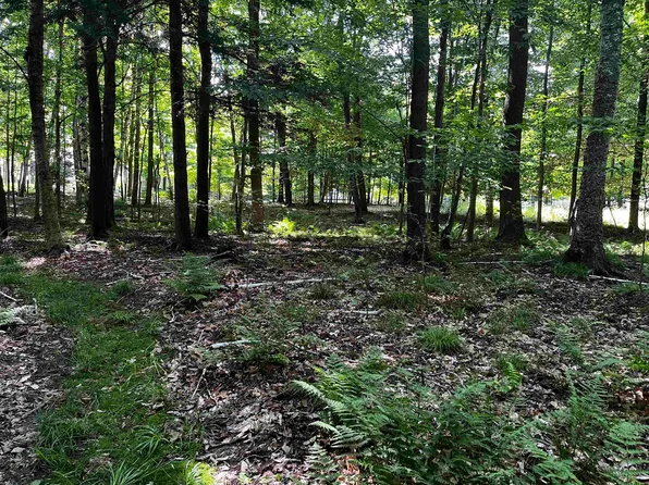 N Kelly Lake Rd, Suring, WI 54174