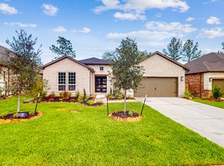 181 Goldenwave Loop, Montgomery, TX 77316