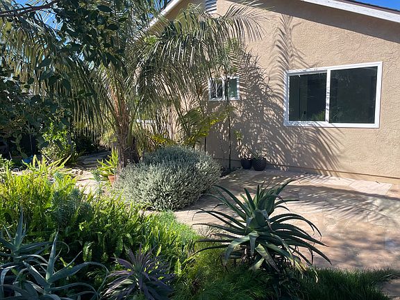 Rear Tropical garden with two patios
